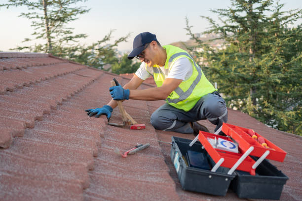 Best Roof Gutter Cleaning  in Angier, NC