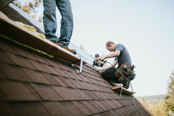 Best Gutter Installation and Roofing  in Angier, NC